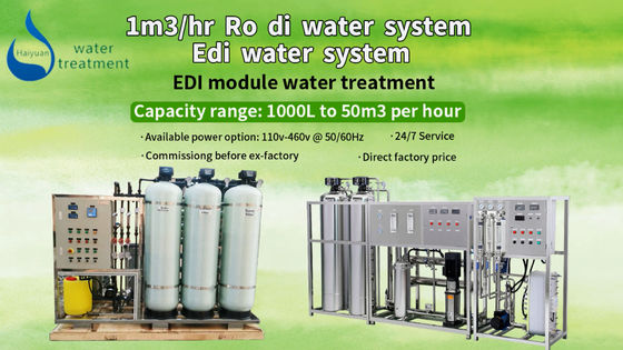 Système déminéralisé 1TPH de purification d'EDI Unit For Water Treatment